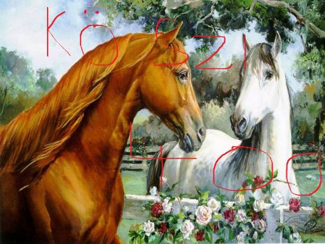 lovas-hatterkepek-szerelmes-lovak.jpg